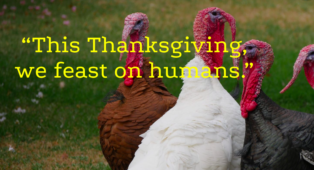 thanksgiving-for-turkeys-the-prompt-magazine
